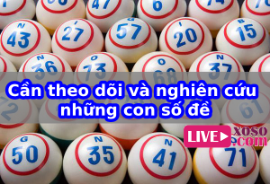 soi cầu giải 8 xổ số mn