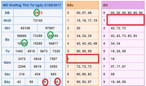 Đầu c&acirc;m đ&iacute;t c&acirc;m - Đ&aacute;nh l&ocirc; đầu đ&iacute;t